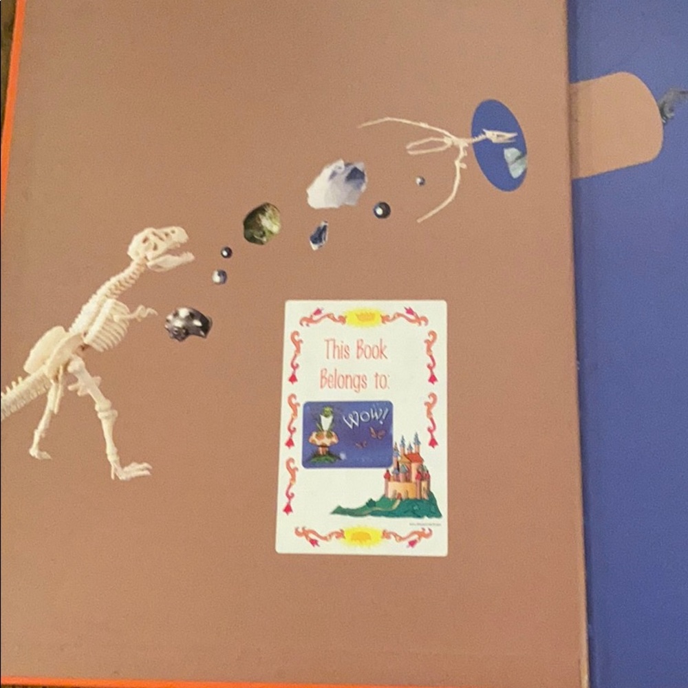 Spot the items! - Picture 7 of 12